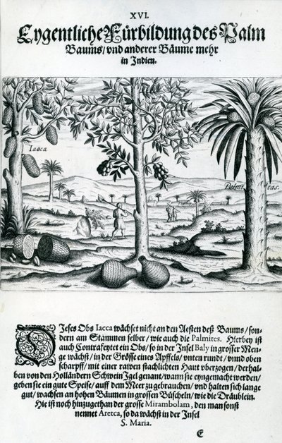 Landschap, Illustratie uit 